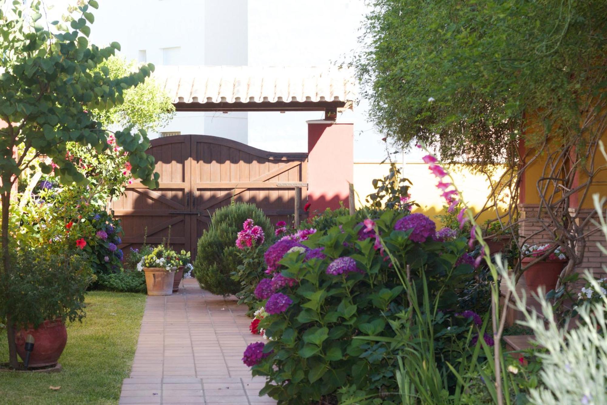 Hotel Donana Blues Matalascanas Exterior photo